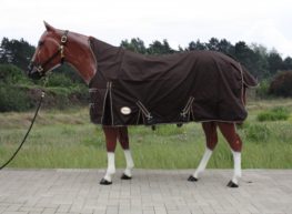 TACK Reitsport. Sie lieben den Pferdesport? Wir auch! Darum bieten wir Ihnen Top Reitsportbedarf für Reiter, Pferd und Reitstall, denn Reitsport verbindet.