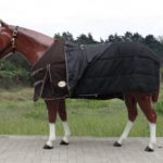 TACK Reitsport. Sie lieben den Pferdesport? Wir auch! Darum bieten wir Ihnen Top Reitsportbedarf für Reiter, Pferd und Reitstall, denn Reitsport verbindet.