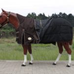 TACK Reitsport. Sie lieben den Pferdesport? Wir auch! Darum bieten wir Ihnen Top Reitsportbedarf für Reiter, Pferd und Reitstall, denn Reitsport verbindet.