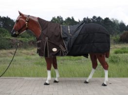 TACK Reitsport. Sie lieben den Pferdesport? Wir auch! Darum bieten wir Ihnen Top Reitsportbedarf für Reiter, Pferd und Reitstall, denn Reitsport verbindet.