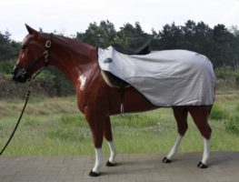 TACK Reitsport. Sie lieben den Pferdesport? Wir auch! Darum bieten wir Ihnen Top Reitsportbedarf für Reiter, Pferd und Reitstall, denn Reitsport verbindet.