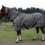 TACK Reitsport. Sie lieben den Pferdesport? Wir auch! Darum bieten wir Ihnen Top Reitsportbedarf für Reiter, Pferd und Reitstall, denn Reitsport verbindet.