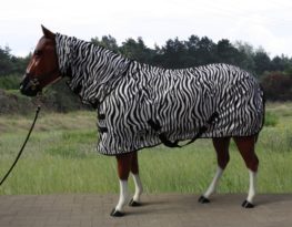 TACK Reitsport. Sie lieben den Pferdesport? Wir auch! Darum bieten wir Ihnen Top Reitsportbedarf für Reiter, Pferd und Reitstall, denn Reitsport verbindet.
