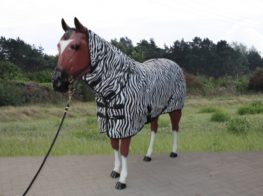 TACK Reitsport. Sie lieben den Pferdesport? Wir auch! Darum bieten wir Ihnen Top Reitsportbedarf für Reiter, Pferd und Reitstall, denn Reitsport verbindet.