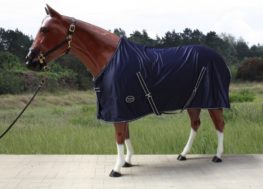TACK Reitsport. Sie lieben den Pferdesport? Wir auch! Darum bieten wir Ihnen Top Reitsportbedarf für Reiter, Pferd und Reitstall, denn Reitsport verbindet.