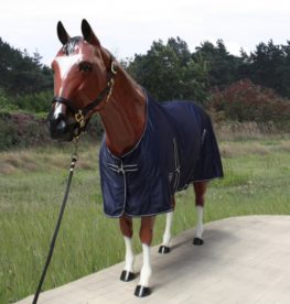 TACK Reitsport. Sie lieben den Pferdesport? Wir auch! Darum bieten wir Ihnen Top Reitsportbedarf für Reiter, Pferd und Reitstall, denn Reitsport verbindet.