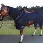 TACK Reitsport. Sie lieben den Pferdesport? Wir auch! Darum bieten wir Ihnen Top Reitsportbedarf für Reiter, Pferd und Reitstall, denn Reitsport verbindet.