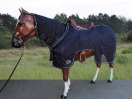 TACK Reitsport. Sie lieben den Pferdesport? Wir auch! Darum bieten wir Ihnen Top Reitsportbedarf für Reiter, Pferd und Reitstall, denn Reitsport verbindet.