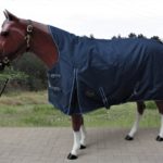 TACK Reitsport. Sie lieben den Pferdesport? Wir auch! Darum bieten wir Ihnen Top Reitsportbedarf für Reiter, Pferd und Reitstall, denn Reitsport verbindet.