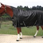 TACK Reitsport. Sie lieben den Pferdesport? Wir auch! Darum bieten wir Ihnen Top Reitsportbedarf für Reiter, Pferd und Reitstall, denn Reitsport verbindet.