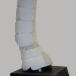 102-005_2