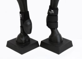 TACK Reitsport. Sie lieben den Pferdesport? Wir auch! Darum bieten wir Ihnen Top Reitsportbedarf für Reiter, Pferd und Reitstall, denn Reitsport verbindet.