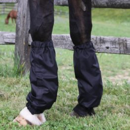 TACK Reitsport. Sie lieben den Pferdesport? Wir auch! Darum bieten wir Ihnen Top Reitsportbedarf für Reiter, Pferd und Reitstall, denn Reitsport verbindet.
