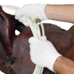 TACK Reitsport. Sie lieben den Pferdesport? Wir auch! Darum bieten wir Ihnen Top Reitsportbedarf für Reiter, Pferd und Reitstall, denn Reitsport verbindet.