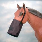 TACK Reitsport. Sie lieben den Pferdesport? Wir auch! Darum bieten wir Ihnen Top Reitsportbedarf für Reiter, Pferd und Reitstall, denn Reitsport verbindet.