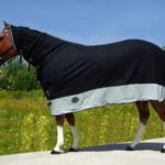 TACK Reitsport. Sie lieben den Pferdesport? Wir auch! Darum bieten wir Ihnen Top Reitsportbedarf für Reiter, Pferd und Reitstall, denn Reitsport verbindet.