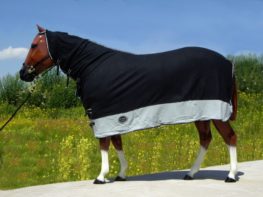 TACK Reitsport. Sie lieben den Pferdesport? Wir auch! Darum bieten wir Ihnen Top Reitsportbedarf für Reiter, Pferd und Reitstall, denn Reitsport verbindet.