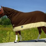 TACK Reitsport. Sie lieben den Pferdesport? Wir auch! Darum bieten wir Ihnen Top Reitsportbedarf für Reiter, Pferd und Reitstall, denn Reitsport verbindet.