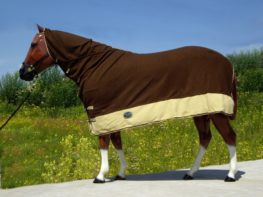 TACK Reitsport. Sie lieben den Pferdesport? Wir auch! Darum bieten wir Ihnen Top Reitsportbedarf für Reiter, Pferd und Reitstall, denn Reitsport verbindet.