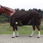 TACK Reitsport. Sie lieben den Pferdesport? Wir auch! Darum bieten wir Ihnen Top Reitsportbedarf für Reiter, Pferd und Reitstall, denn Reitsport verbindet.