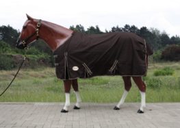 TACK Reitsport. Sie lieben den Pferdesport? Wir auch! Darum bieten wir Ihnen Top Reitsportbedarf für Reiter, Pferd und Reitstall, denn Reitsport verbindet.