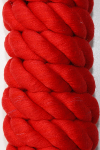 2822_ROT