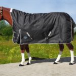 TACK Reitsport. Sie lieben den Pferdesport? Wir auch! Darum bieten wir Ihnen Top Reitsportbedarf für Reiter, Pferd und Reitstall, denn Reitsport verbindet.