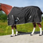 TACK Reitsport. Sie lieben den Pferdesport? Wir auch! Darum bieten wir Ihnen Top Reitsportbedarf für Reiter, Pferd und Reitstall, denn Reitsport verbindet.