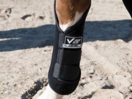 TACK Reitsport. Sie lieben den Pferdesport? Wir auch! Darum bieten wir Ihnen Top Reitsportbedarf für Reiter, Pferd und Reitstall, denn Reitsport verbindet.