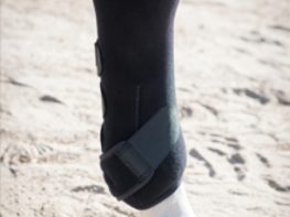 TACK Reitsport. Sie lieben den Pferdesport? Wir auch! Darum bieten wir Ihnen Top Reitsportbedarf für Reiter, Pferd und Reitstall, denn Reitsport verbindet.