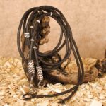 TACK Reitsport. Sie lieben den Pferdesport? Wir auch! Darum bieten wir Ihnen Top Reitsportbedarf für Reiter, Pferd und Reitstall, denn Reitsport verbindet.