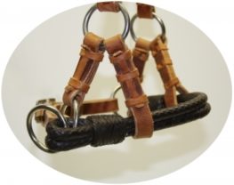 TACK Reitsport. Sie lieben den Pferdesport? Wir auch! Darum bieten wir Ihnen Top Reitsportbedarf für Reiter, Pferd und Reitstall, denn Reitsport verbindet.