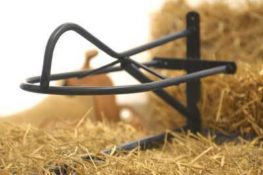 TACK Reitsport. Sie lieben den Pferdesport? Wir auch! Darum bieten wir Ihnen Top Reitsportbedarf für Reiter, Pferd und Reitstall, denn Reitsport verbindet.