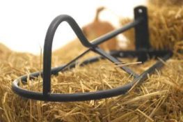 TACK Reitsport. Sie lieben den Pferdesport? Wir auch! Darum bieten wir Ihnen Top Reitsportbedarf für Reiter, Pferd und Reitstall, denn Reitsport verbindet.