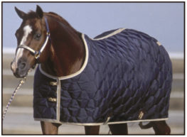 TACK Reitsport. Sie lieben den Pferdesport? Wir auch! Darum bieten wir Ihnen Top Reitsportbedarf für Reiter, Pferd und Reitstall, denn Reitsport verbindet.