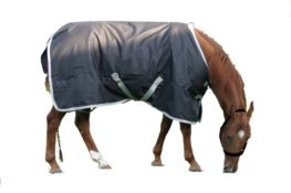 TACK Reitsport. Sie lieben den Pferdesport? Wir auch! Darum bieten wir Ihnen Top Reitsportbedarf für Reiter, Pferd und Reitstall, denn Reitsport verbindet.