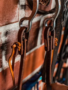 TACK Reitsport. Sie lieben den Pferdesport? Wir auch! Darum bieten wir Ihnen Top Reitsportbedarf für Reiter, Pferd und Reitstall, denn Reitsport verbindet.