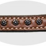Kinnriemen_-_Show_-_Rowel_Concho_Tack_-_MITTEL_2