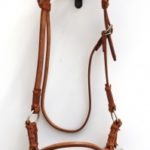 TACK Reitsport. Sie lieben den Pferdesport? Wir auch! Darum bieten wir Ihnen Top Reitsportbedarf für Reiter, Pferd und Reitstall, denn Reitsport verbindet.