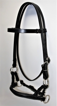 TACK Reitsport. Sie lieben den Pferdesport? Wir auch! Darum bieten wir Ihnen Top Reitsportbedarf für Reiter, Pferd und Reitstall, denn Reitsport verbindet.