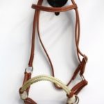 Sidepull_-_Nylon_Rope_doppelt_-_Harness_Kopfstueck