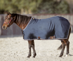 TACK Reitsport. Sie lieben den Pferdesport? Wir auch! Darum bieten wir Ihnen Top Reitsportbedarf für Reiter, Pferd und Reitstall, denn Reitsport verbindet.