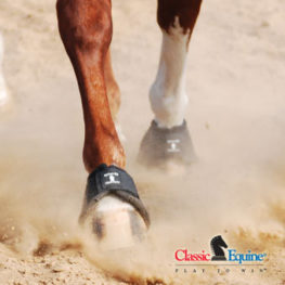 TACK Reitsport. Sie lieben den Pferdesport? Wir auch! Darum bieten wir Ihnen Top Reitsportbedarf für Reiter, Pferd und Reitstall, denn Reitsport verbindet.