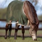 TACK Reitsport. Sie lieben den Pferdesport? Wir auch! Darum bieten wir Ihnen Top Reitsportbedarf für Reiter, Pferd und Reitstall, denn Reitsport verbindet.