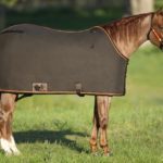 TACK Reitsport. Sie lieben den Pferdesport? Wir auch! Darum bieten wir Ihnen Top Reitsportbedarf für Reiter, Pferd und Reitstall, denn Reitsport verbindet.