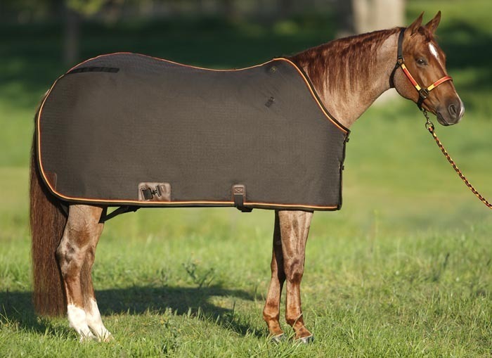 western_blanket