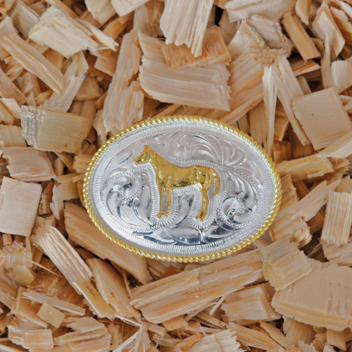 Buckle-Horse-Kids-4725_b_0
