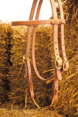 TACK Reitsport. Sie lieben den Pferdesport? Wir auch! Darum bieten wir Ihnen Top Reitsportbedarf für Reiter, Pferd und Reitstall, denn Reitsport verbindet.