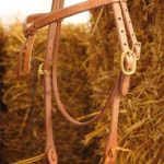 TACK Reitsport. Sie lieben den Pferdesport? Wir auch! Darum bieten wir Ihnen Top Reitsportbedarf für Reiter, Pferd und Reitstall, denn Reitsport verbindet.