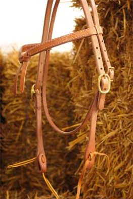 TACK Reitsport. Sie lieben den Pferdesport? Wir auch! Darum bieten wir Ihnen Top Reitsportbedarf für Reiter, Pferd und Reitstall, denn Reitsport verbindet.